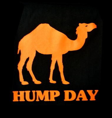 Hump Day Picture