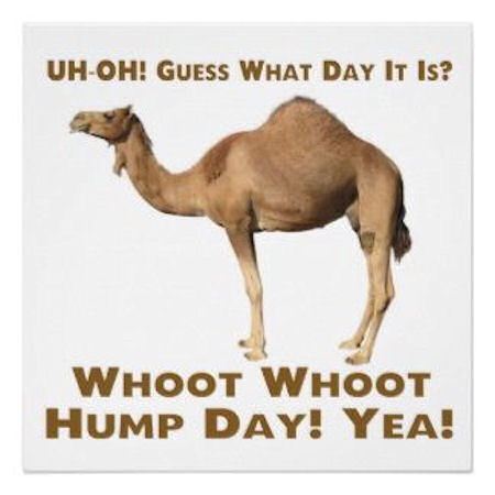 Hump Day Wishes