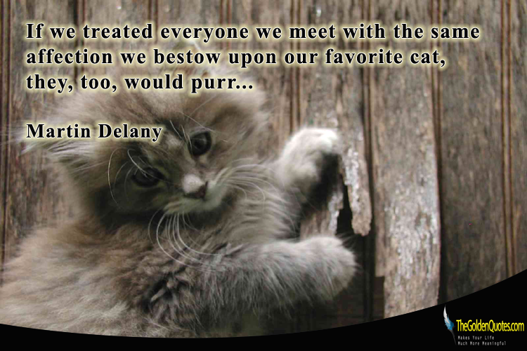 If we treated everyone we meet with the same affection we bestow upon our favorite cat, they, too, would purr… Martin Delany