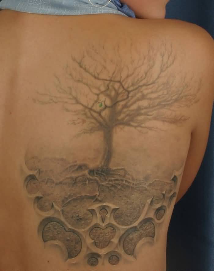 Impressive Tree Of Life Tattoo On Right Back Shoulder
