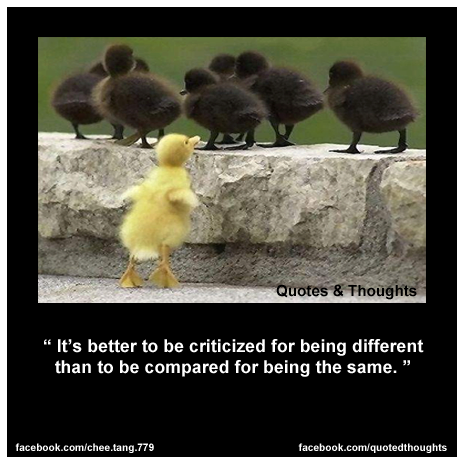 It's better to be criticized for being different than to be compared for being the same.