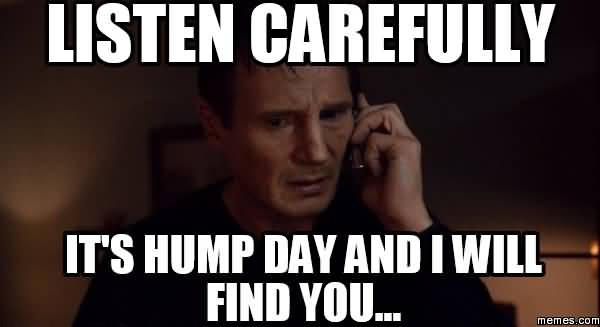 Listen Carefully It's Hump Day And I Will Find You