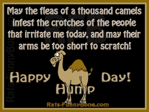 May The Fleas Of A Thousand Camels Infest The Crotches Of The People That Irritate Me Today Happy Hump Day