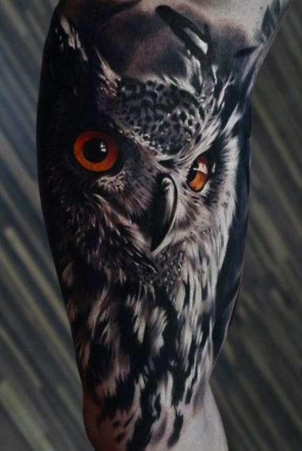 Realistic 3D Owl Tattoo On Right Half Sleeve