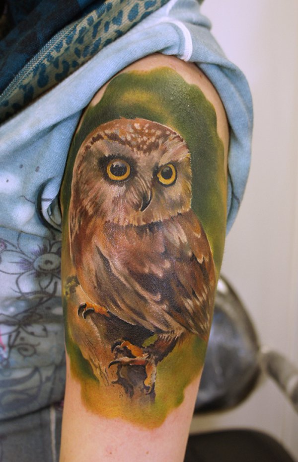 Realistic Owl Tattoo On Left Half Sleeve