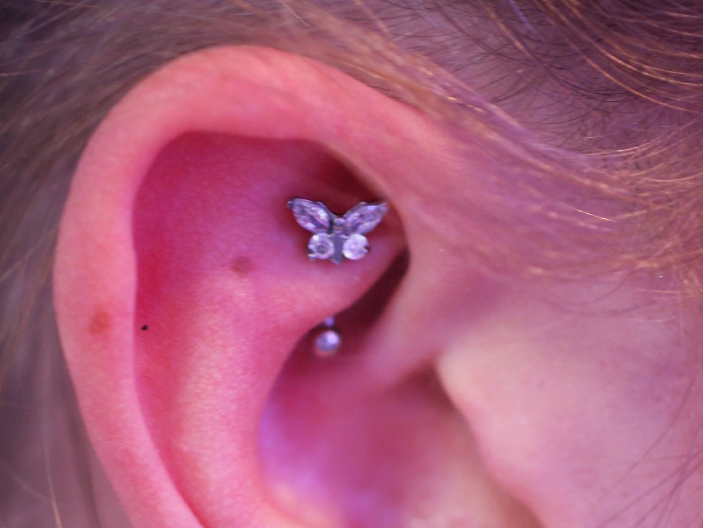 Rook Piercing With Butterfly Stud