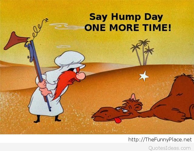 Say Hump Day One More Time Cartoon