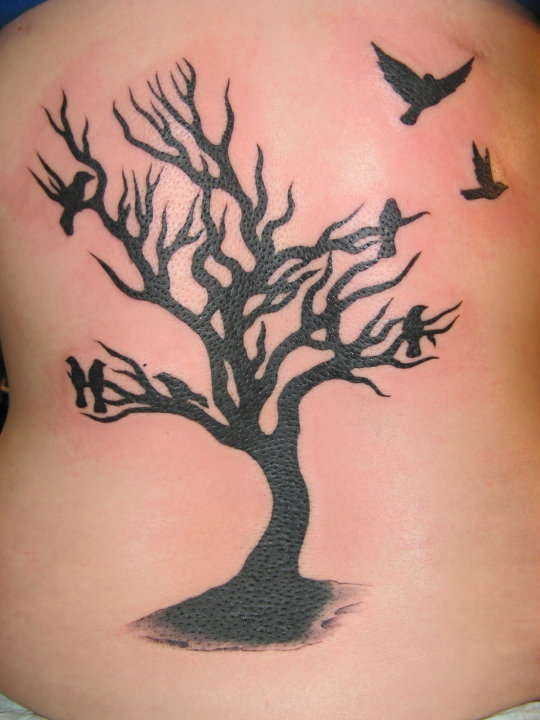 Silhouette Tree Of Life With Flying Birds Tattoo On Full Back