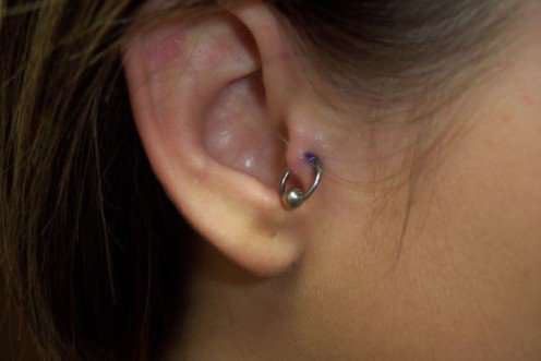 Silver Bead Ring Tragus Piercing Idea For Girls