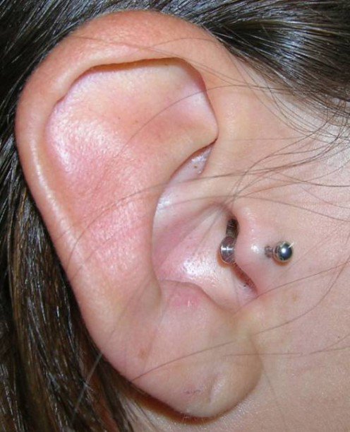 Silver Stud Tragus Piercing For Young Girls