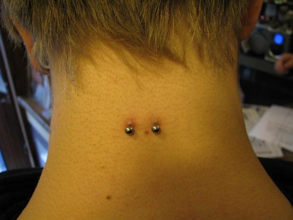 Silver Studs Neck Piercing Picture