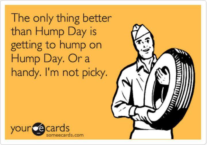 The Only Thing Better Than Hump Day Getting To Hump On Hump Day