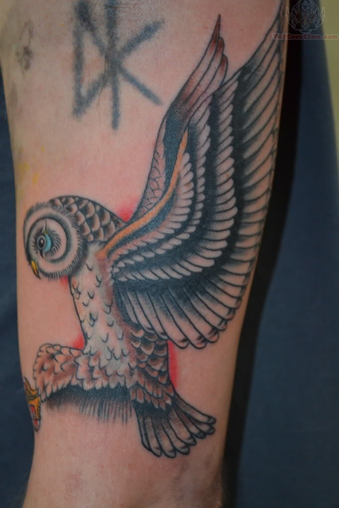 Traditional Flying Owl Tattoo On Left Half Sleeve