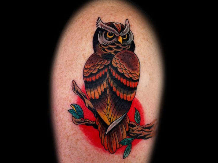 Traditional Owl On Branch Tattoo Design For Shoulder