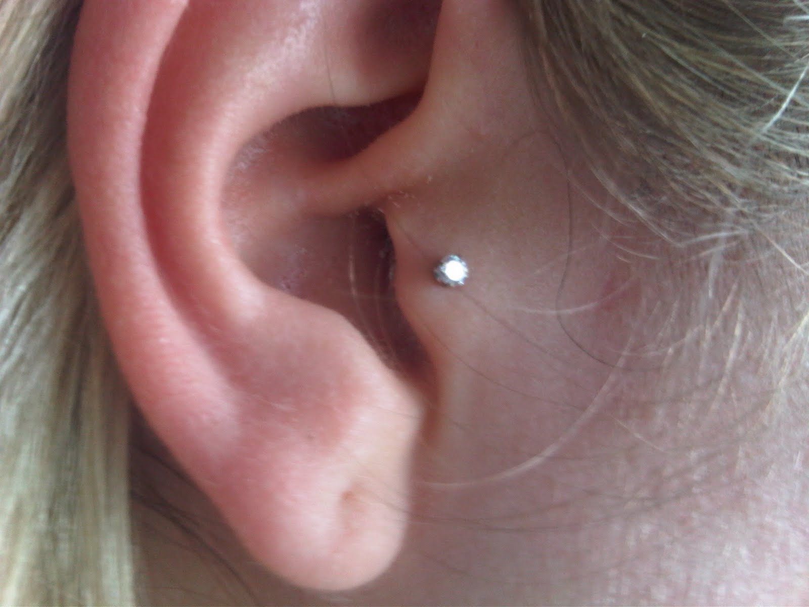 Tragus Piercing With Silver Stud