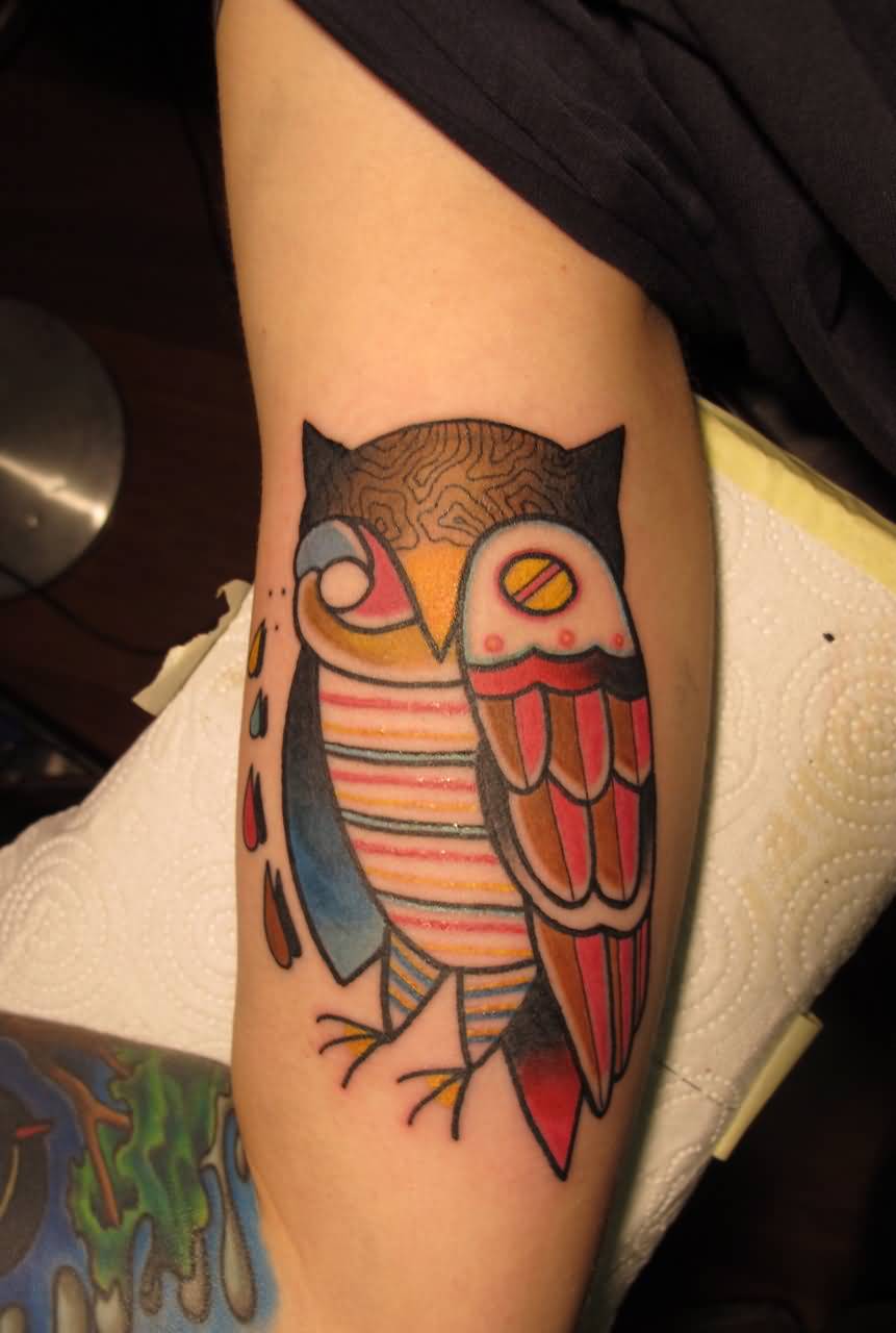 Unique Colorful Owl Bird Tattoo Design For Half Sleeve