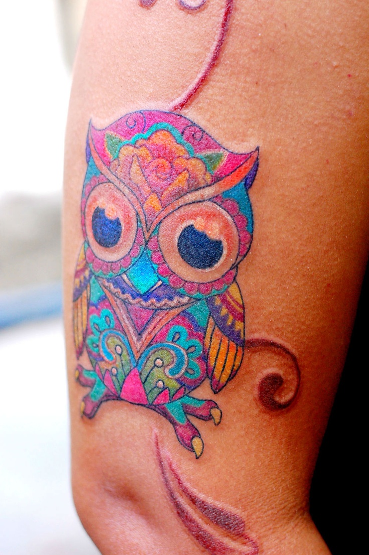 Unique Colorful Owl Tattoo On Right Half Sleeve