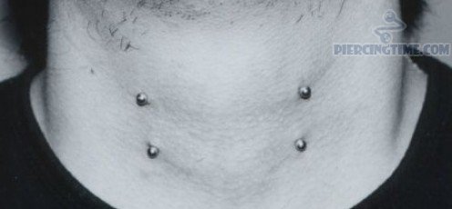 Vertical Front Neck Piercing With Silver Barbells