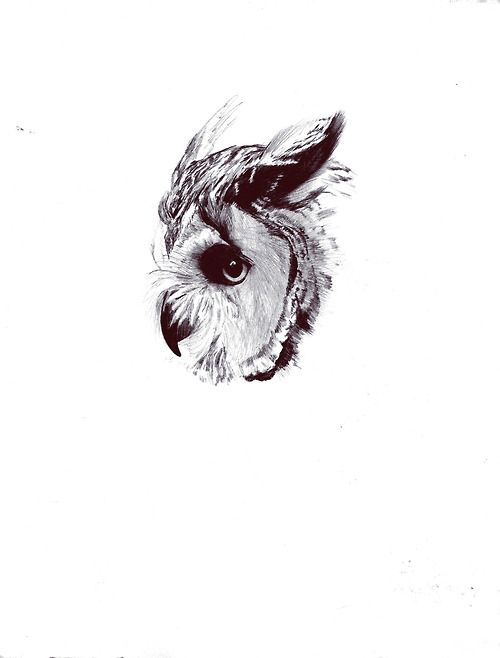 Wonderful Black And Grey Owl Face Tattoo Design