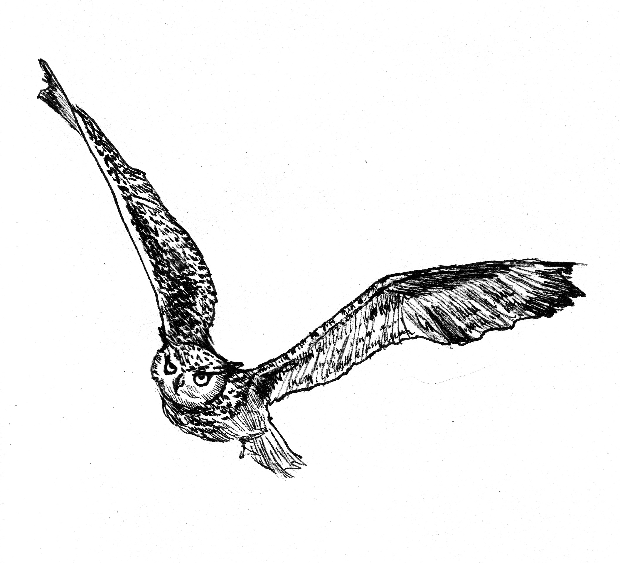 Wonderful Black Ink Flying Owl Tattoo Design