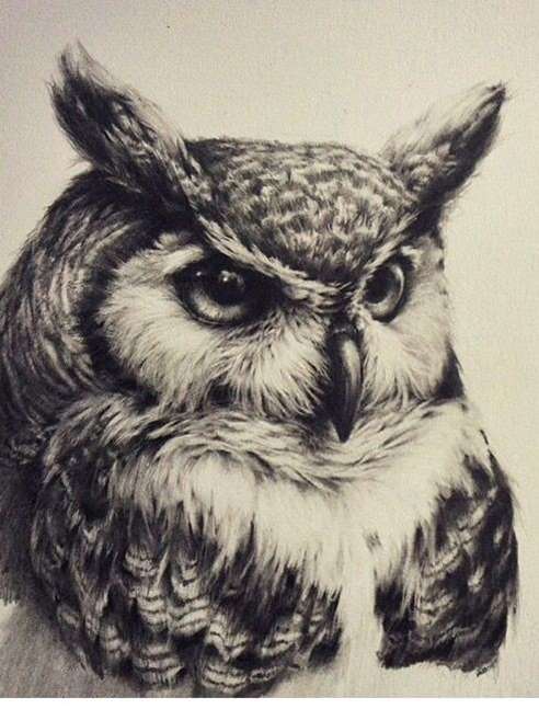 Wonderful Black Ink Owl Tattoo Design