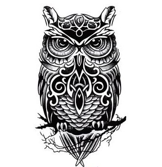 Wonderful Black Owl Tattoo Design For Arm