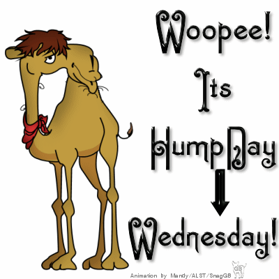 Woopee It's Hump Day Wednesday Camel Animated Picture