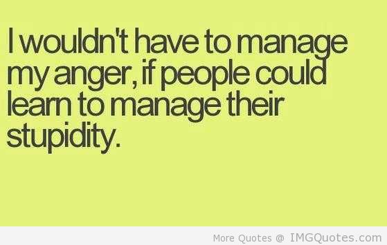 Wouldn't Have To Manage My Anger If People Could Learn To Manage Their Stupidity