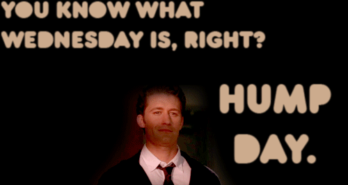 You Know What Wednesday Is, Right Hump Day Gif Picture