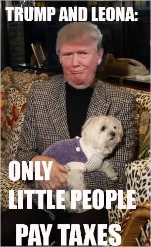 Trum And Leona Meme - Only Little People Pay Taxes