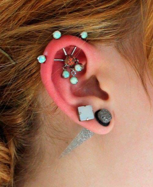 Amazing Dual Lobe And Cartilage Piercings
