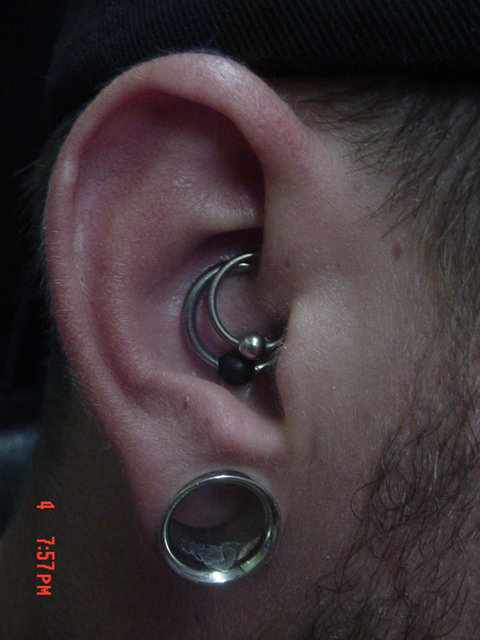 Amazing Ear Lobe And Daith Piercing