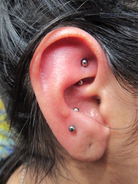 Amazing Snug And Rook Piercing Pictures
