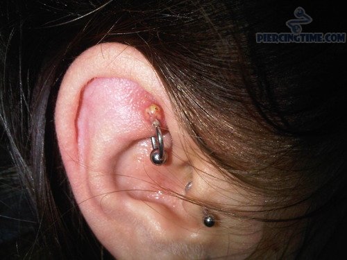 Amazing Tragus And Rook Piercing Idea