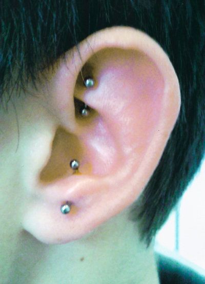 Anti Tragus And Rook Piercing Picture