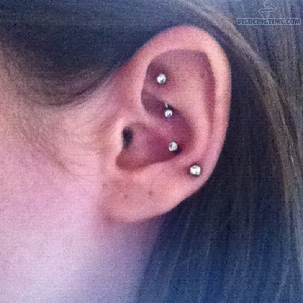 Anti Tragus And Rook Piercing