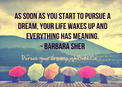 As soon as you start to pursue a dream, your life wakes up and everything has meaning. Barbara Sher