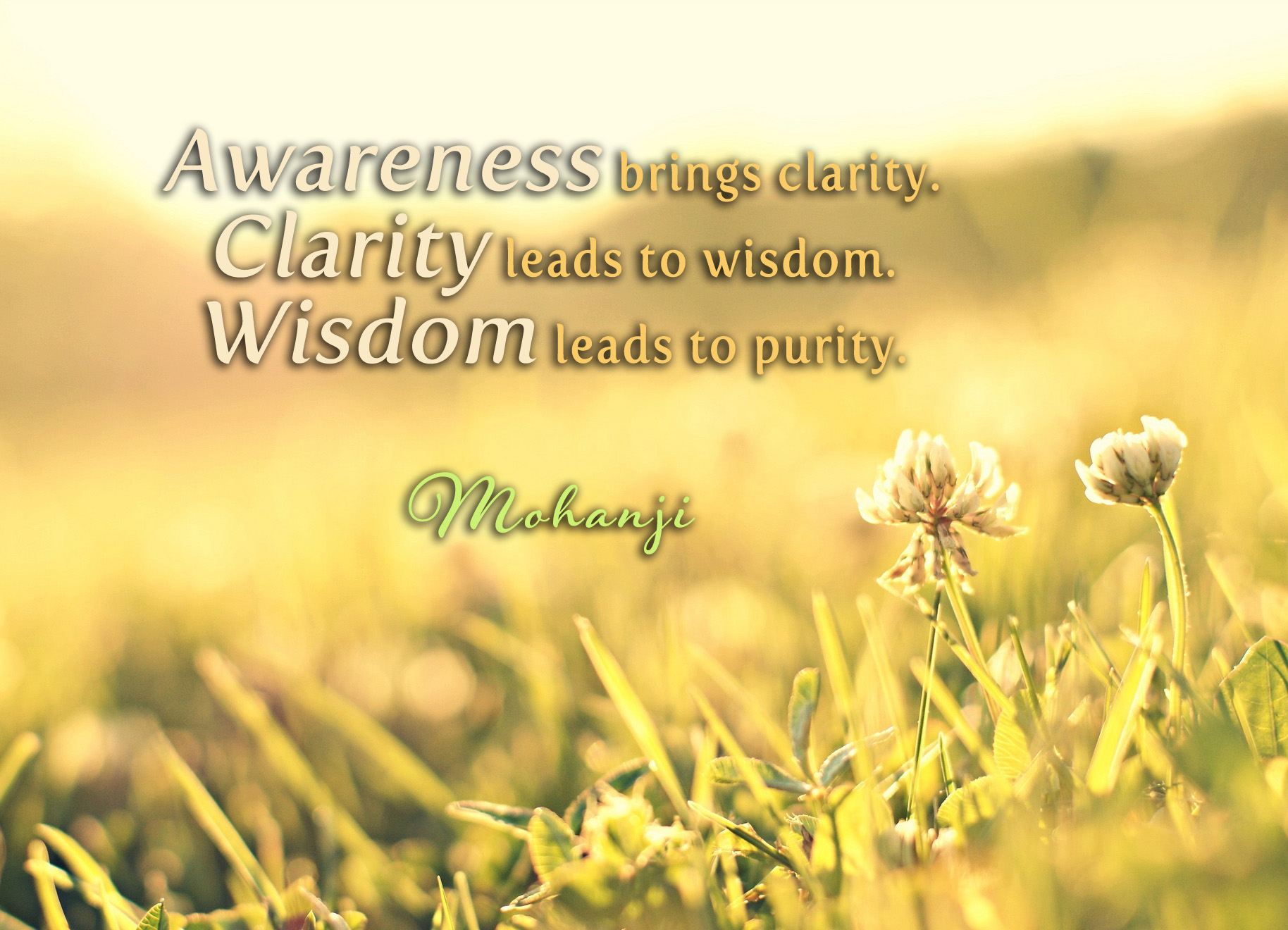 Awareness brings Clarity. Clarity leads to wisdom. Wisdom leads to purity. Mohanji