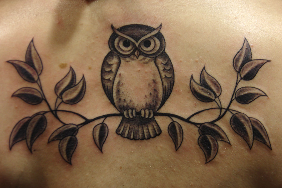 Awesome Black Ink Owl On Branch Tattoo Design