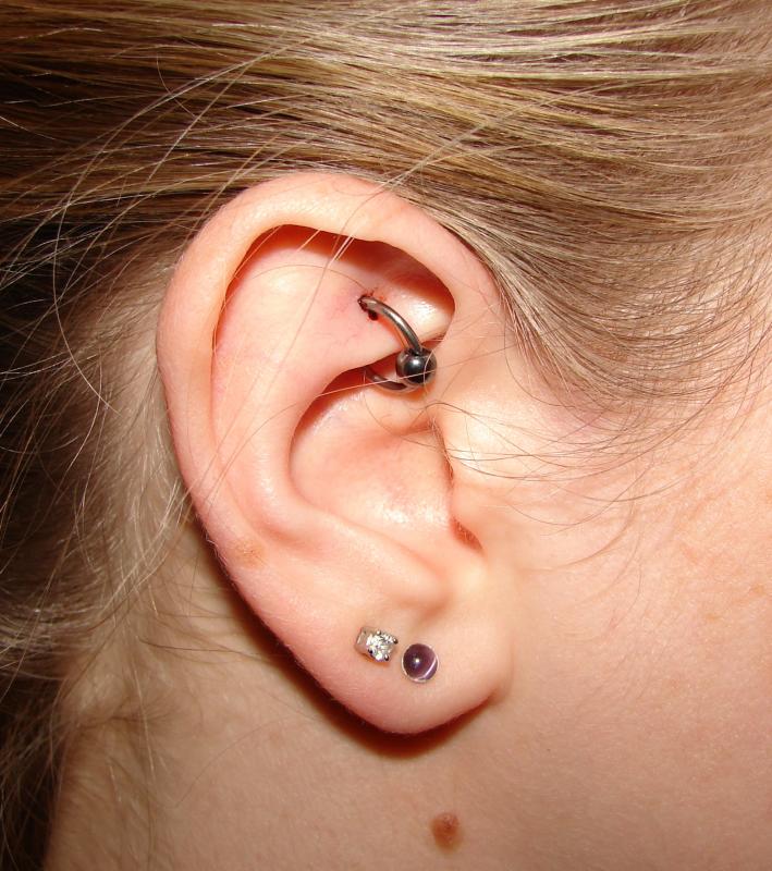 Awesome Double Lobe And Daith Rook Piercing