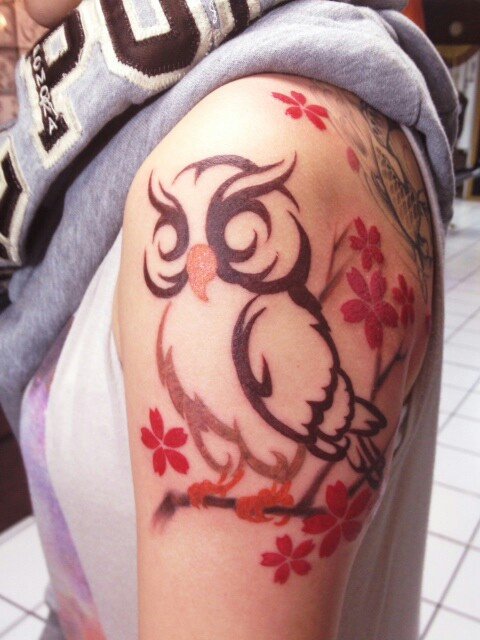 Awesome Owl With Flowers Tattoo On Female Left Shoulder