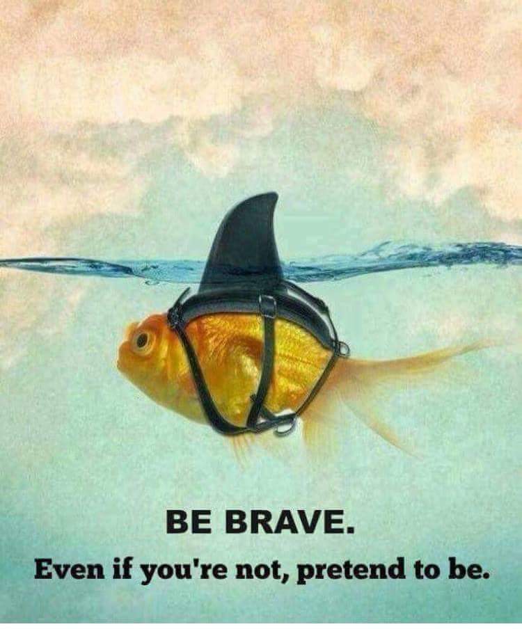 Be Brave.Even If You're Not, Pretend To Be