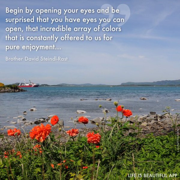 Begin by opening your eyes and be surprised that you have eyes you can open, the incredible array of colors that is constantly offered... Brother David Steind Rast