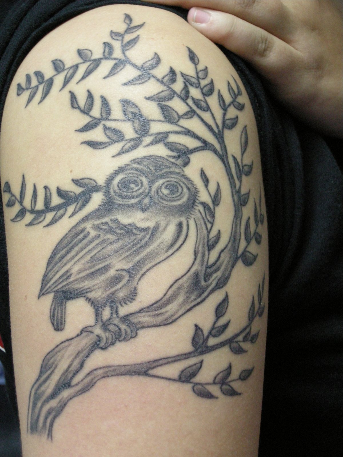 Black And Grey Owl On Branch Tattoo On Girl Right Half Sleeve