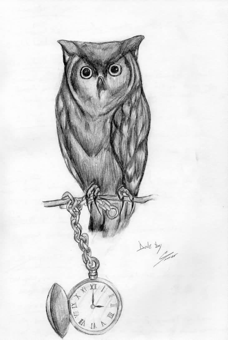 Black And Grey Owl On Branch With Pocket Watch Tattoo Design