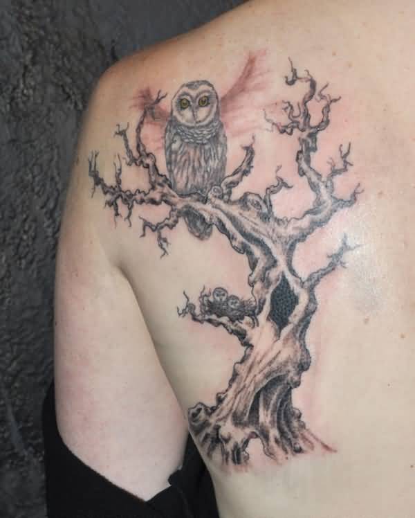 Black And Grey Owl On Tree Without Leaves Tattoo On Left Back Shoulder