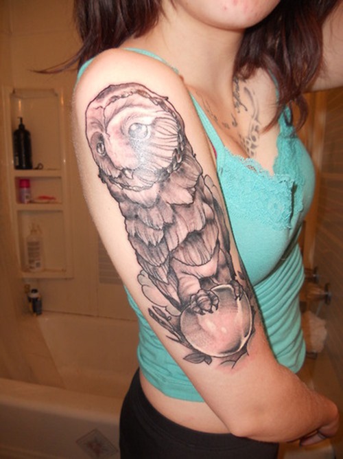 Black And Grey Owl Tattoo On Girl Right Half Sleeve