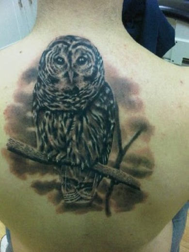 Black And Grey Owl Tattoo On Man Upper Back
