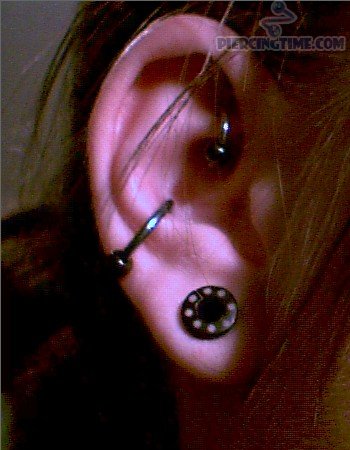 Black Gauge Lobe, Conch And Rook Piercing