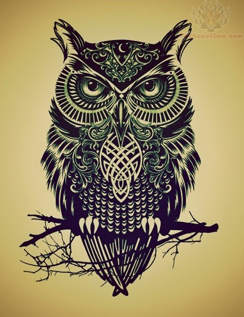 Black Ink Owl On Branch Tattoo Design